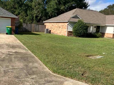 Lawn Care service in ,
