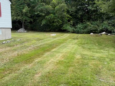 Lawn Care service in Burlington, 01803