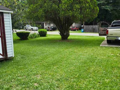 Lawn Care service in Darlington, 29532