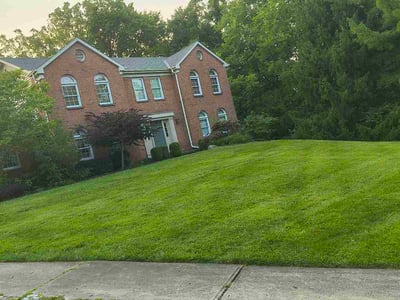 Lawn Care service in Marlton, 08053