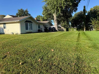 Lawn Care service in ,