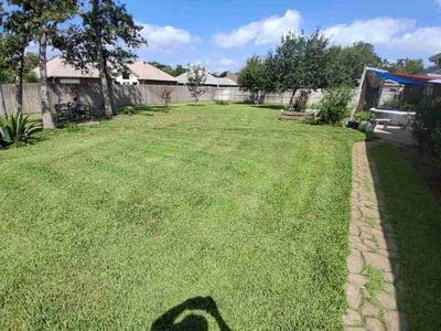 Lawn Care service in College Station, 77840