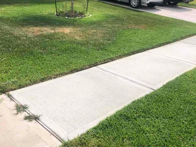 Lawn Care service in College Station, 77840