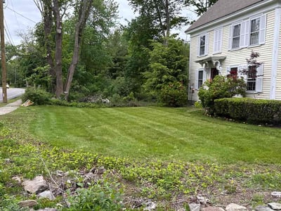 Lawn Care service in Abington, 02351
