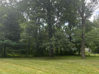 Lawn Care service in Cuyahoga Falls, 44221