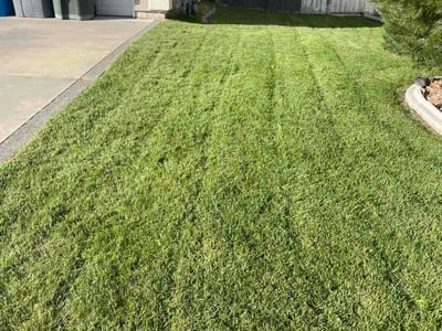 Lawn Care service in Richland, 99352