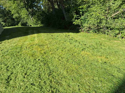 Lawn Care service in Hagerstown, 21740
