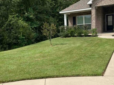 Lawn Care service in ,