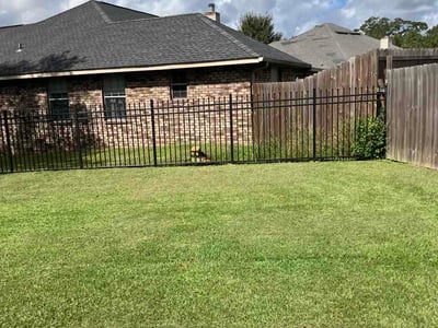 Lawn Care service in ,