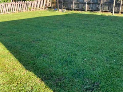 Lawn Care service in Pascagoula, 39567