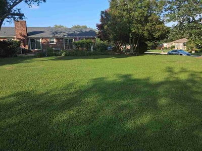 Lawn Care service in Florence, 29506