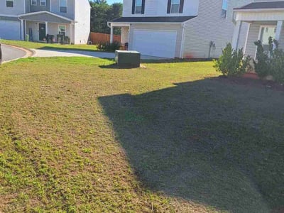 Lawn Care service in Florence, 29506