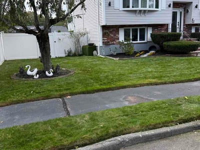 Lawn Care service in Haverhill, 01830