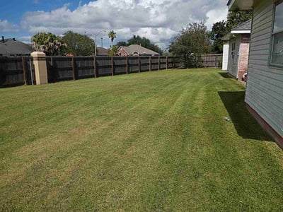 Lawn Care service in Eugene, 97401