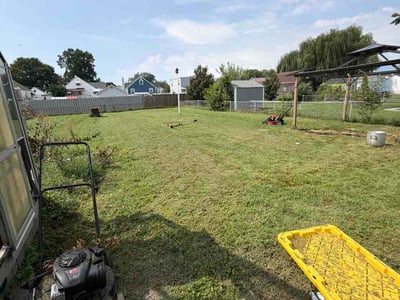 Lawn Care service in Edgewater, 21037