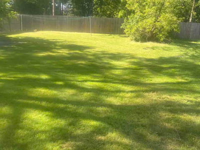 Lawn Care service in Burton, 48519