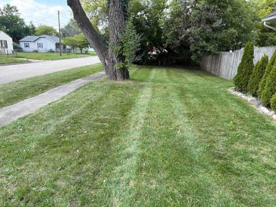 Lawn Care service in Burton, 48519