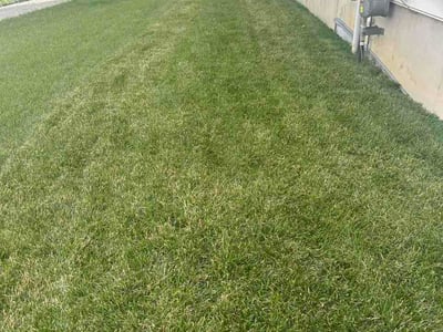 Lawn Care service in Mays Landing, 08330