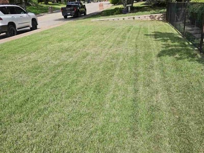 Lawn Care service in Medford, 02155