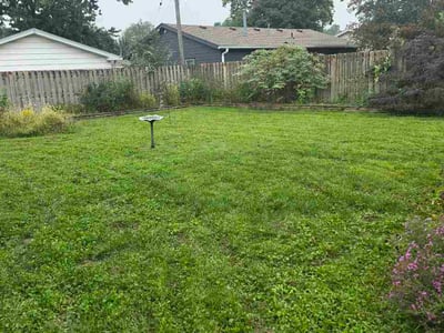Lawn Care service in Louisville, 80027