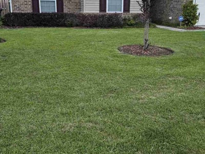 Lawn Care service in Medford, 02155