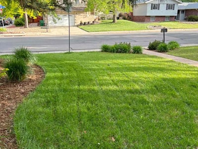 Lawn Care service in Bellingham, 02019