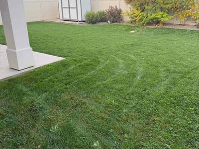 Lawn Care service in Boise, 83702