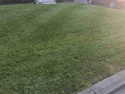 Lawn Care service in Endicott, 13760
