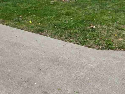 Lawn Care service in Urbana, 61801
