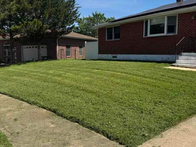 Lawn Care service in Newark, 19713