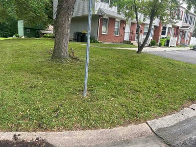 Lawn Care service in Newark, 19713