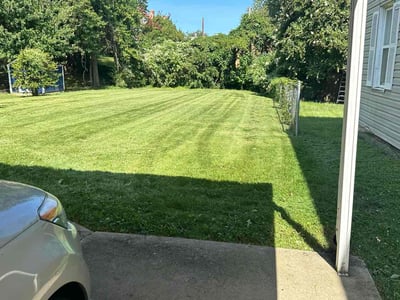 Lawn Care service in Charles Town, 25414