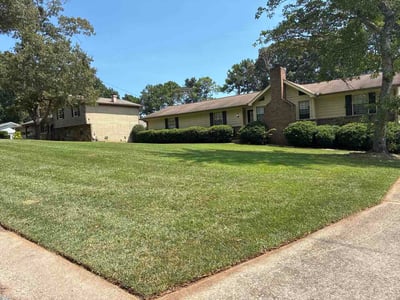 Lawn Care service in Grass Valley, 95945