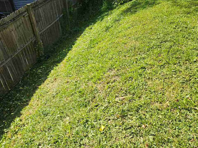 Lawn Care service in Gainesville, 20155