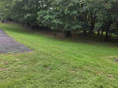 Lawn Care service in Charlottesville, 22902
