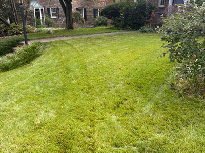 Lawn Care service in Clinton, 20735