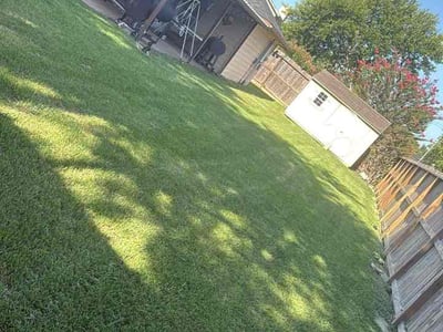 Lawn Care service in San Benito, 78586
