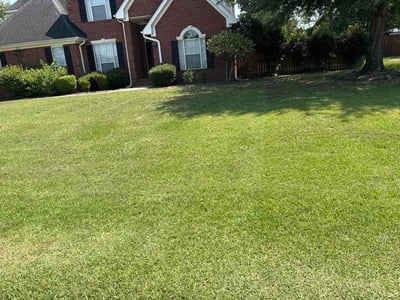 Lawn Care service in North Augusta, 29841