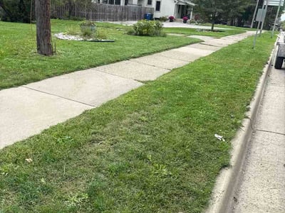 Lawn Care service in Ann Arbor, 48104