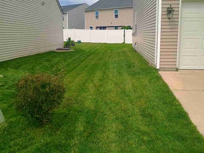 Lawn Care service in Ann Arbor, 48104