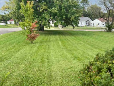 Lawn Care service in Absecon, 08201