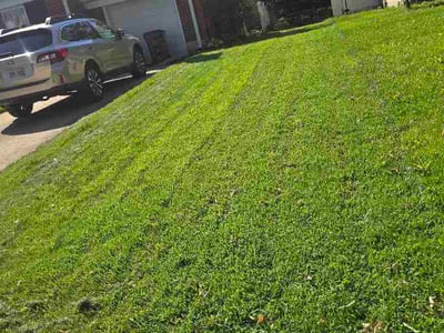 Lawn Care service in Absecon, 08201