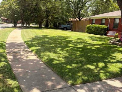 Lawn Care service in Sunnyvale, 75182