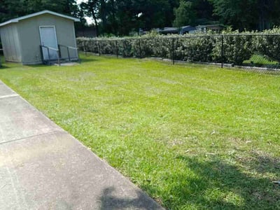 Lawn Care service in Lynnwood, 98036