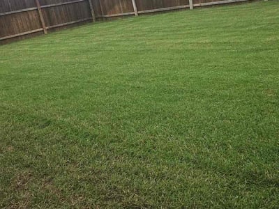 Lawn Care service in Lewisville, 75057