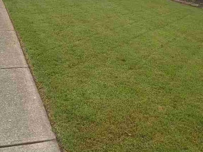 Lawn Care service in Owensboro, 42303