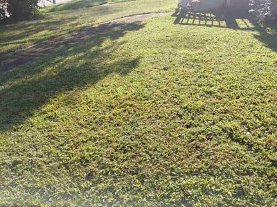 Lawn Care service in Owensboro, 42303