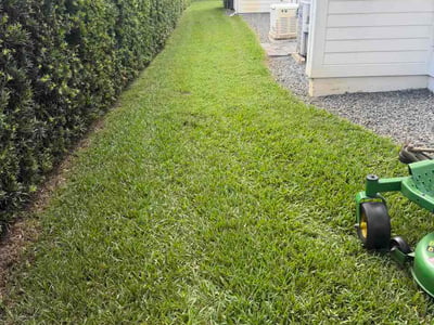 Lawn Care service in Sharon, 02067