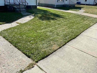 Lawn Care service in Port Huron, 48060