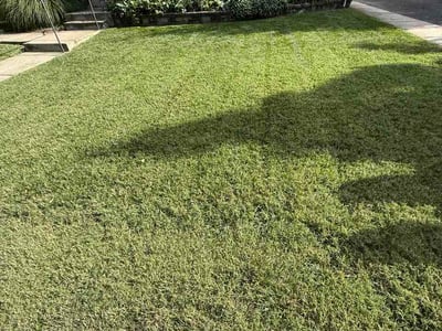 Lawn Care service in Centreville, 20120